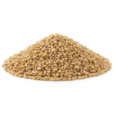 بلغور جو فله اطلس وزن 25 کیلوگرمی (1 گونی)